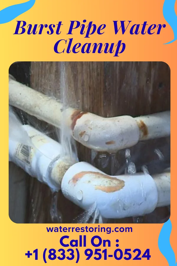 Burst Pipe Water Cleanup in Walden, NY