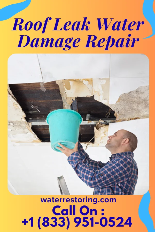 Roof Leak Water Damage Repair in Walden, NY