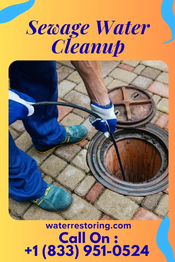 Sewage Water Cleanup in Walden, NY