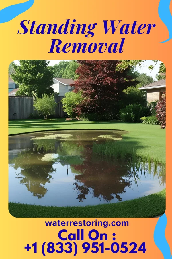 Standing Water Removal in Walden, NY